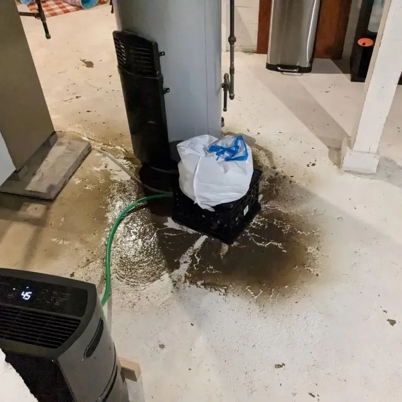 Sewage Backup Cleanup Service in Highland, CA